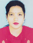 Shetu Bonik