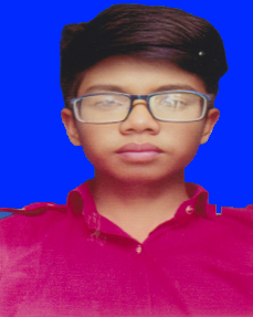 Md. Mahmudul Hasan